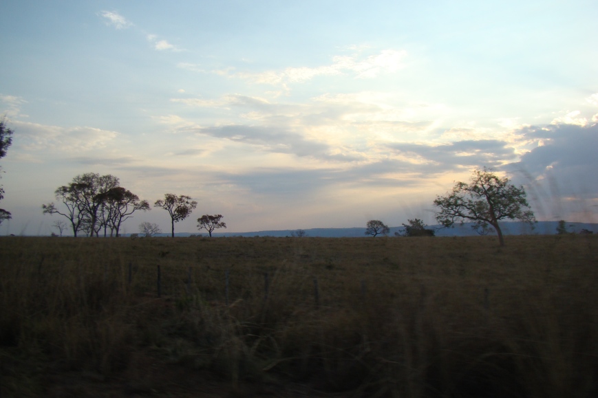 Evening over the Brazilian savanna